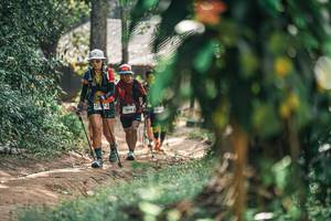 BIB: 
                            <button type="button" onclick="openModal(25276092)" class="btn btn-primary btn-sm float-right btn-popup" data-toggle="modal" data-target=".modal-high-quality">
                        <i class="fas fa-shopping-cart"></i> Add to Cart
                    </button>
                                            <button type="button" onclick="isThisMe(25276092, true)" class="btn btn-success btn-sm float-right btn-popup btn-isme hidden" data-toggle="tooltip" data-placement="bottom" title="นี่คือรูปของคุณใช่ไหม คลิกที่นี่เพื่อเอาเข้าอัลบั้ม">
                        <i class="fas fa-plus"></i> Add to album
                    </button>
                    <button type="button" onclick="isThisMe(25276092, false)" class="btn btn-warning btn-sm float-right btn-popup btn-isnotme hidden">
                        <i class="fas fa-ban"></i> Remove from album
                    </button>